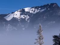 Winterbaum vor verschneitem Berg
